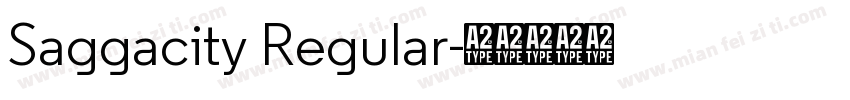 Saggacity Regular字体转换